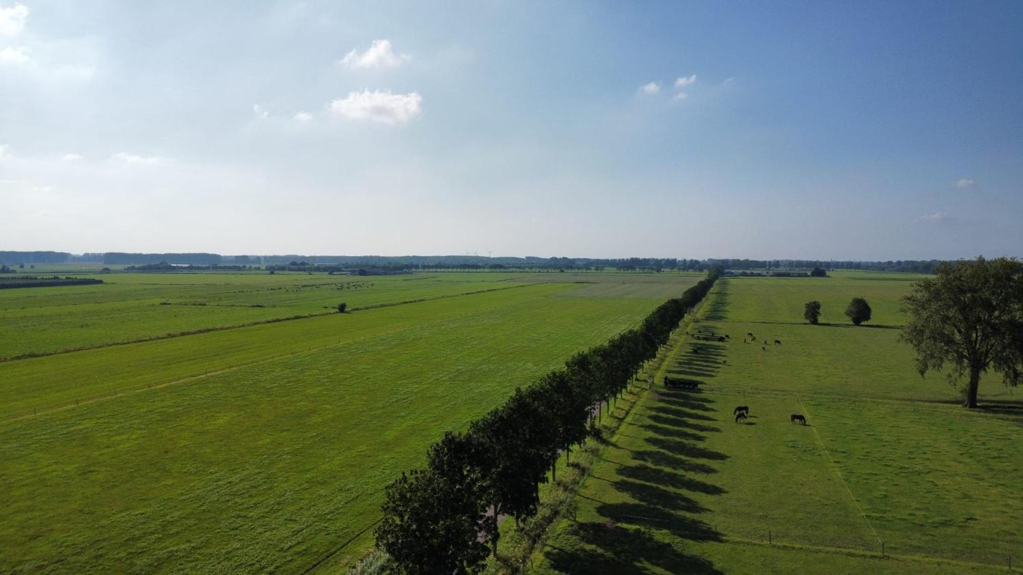 Landelijke Huis In De Betuwe Tricht Eksteriør billede